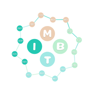 mbti