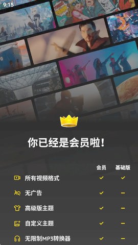 XPlayer播放器