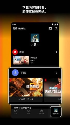 网飞app