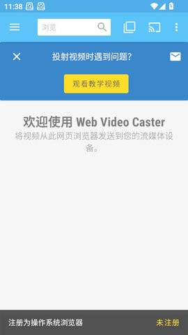 Web Video Caster