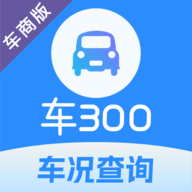 车300专业版