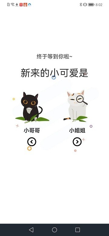 猫趣动漫