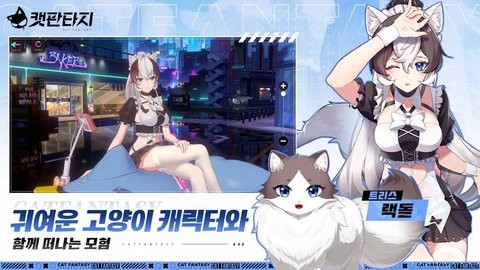 猫之城韩服