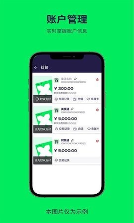 BricS payapp