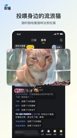 街猫救助平台