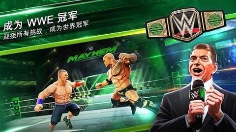 wwe混乱