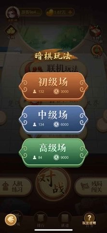 中国象棋大师