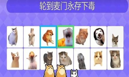 Meme的毒药