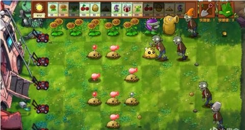 植物大战僵尸融合版雪原版