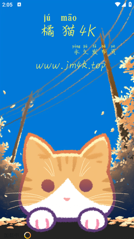 橘猫4K