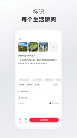 小红书美食做法大全